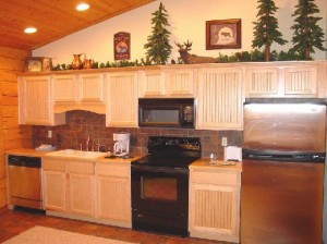 One Bedroom Cabin Kitchen