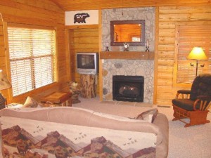One Bedroom Cabin Living Area